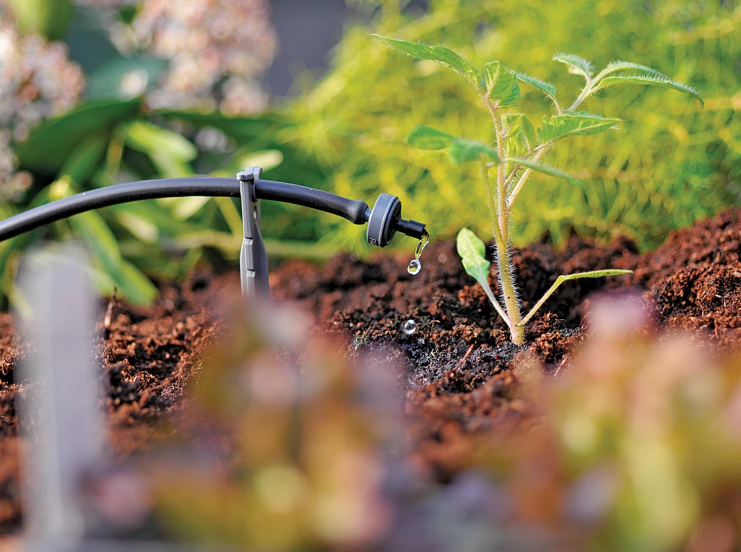 Hozelock Pro 25 Pot Automatic Watering Kit - 2804 7 Hozelock Pro 25 Pot Automatic Watering Kit - 2804 - Image 5