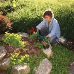 Rain Bird Drip Line 100 Metre - Pressure Compensating 8 Rain Bird Drip Line 100 Metre - Pressure Compensating -Silverlines Equipment Store drip line drip line 100 metre roll long run 2541327646816