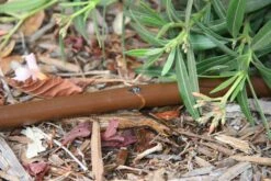 Silverlines Equipment Store 29 Silverlines Equipment Store -Silverlines Equipment Store drip line drip line 50 metre roll long run 2541325746272