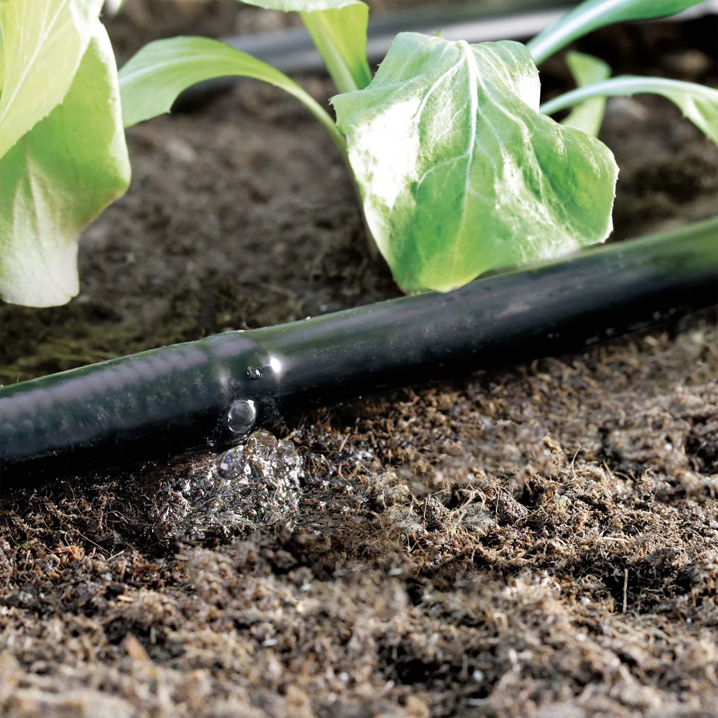 Claber Drip Line 25 Metre 13mm - 90355 4 Claber Drip Line 25 Metre 13mm - 90355 - Image 2