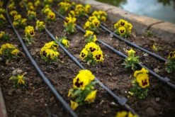 Claber Drip Line Bed/Border Irrigation Kit - 50 Metre 8 Claber Drip Line Bed/Border Irrigation Kit - 50 Metre -Silverlines Equipment Store drip line fittings and accessories claber drip line bed border kit 50 metre 33250246918310