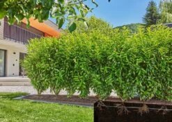 Gardena Drip Line 50m Starter Set (Hedge/Bush) - 13501 8 Gardena Drip Line 50m Starter Set (Hedge/Bush) - 13501 -Silverlines Equipment Store drip line irrigation kits gardena drip line 50m starter set hedge bush 13501 36161001423014