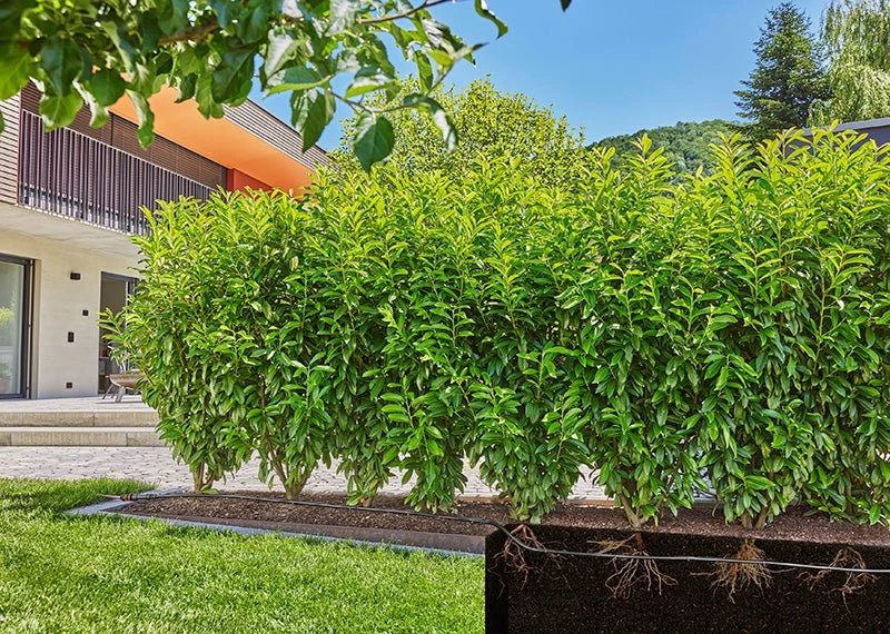 Gardena Drip Line 50m Starter Set (Hedge/Bush) - 13501 5 Gardena Drip Line 50m Starter Set (Hedge/Bush) - 13501 - Image 3