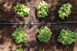 Hozelock Easy Drip Universal Watering Kit - 7023 -Silverlines Equipment Store hozelock easy drip irrigation hozelock easy drip universal watering kit 7023 15819654405