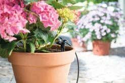 Hozelock Easy Drip Micro Dripper Kit - 7024 -Silverlines Equipment Store hozelock watering system hozelock easy drip micro dripper kit 7024 15977058117