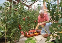 Hozelock Growbag Watering Kit - 2810 -Silverlines Equipment Store hozelock watering system hozelock growbag watering kit 2810 7548047365