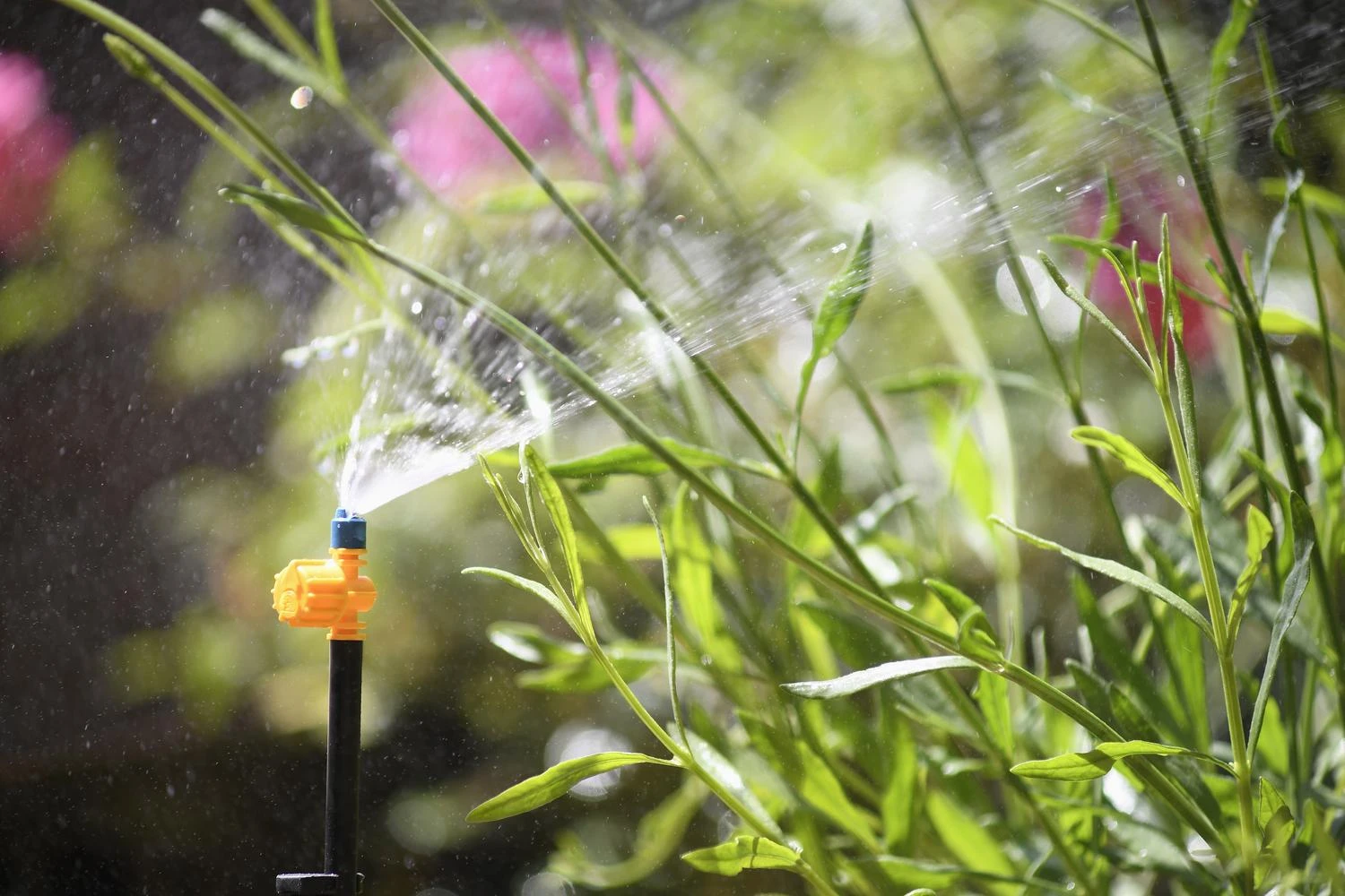 Hozelock Micro Extension Tube (10 Pack) - 7030 4 Hozelock Micro Extension Tube (10 Pack) - 7030 - Image 2