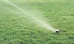 Rain Bird Maxi-Paw Pop Up Impact Sprinkler -Silverlines Equipment Store pop up sprinklers rain bird maxi paw pop up impact sprinkler 7548542789