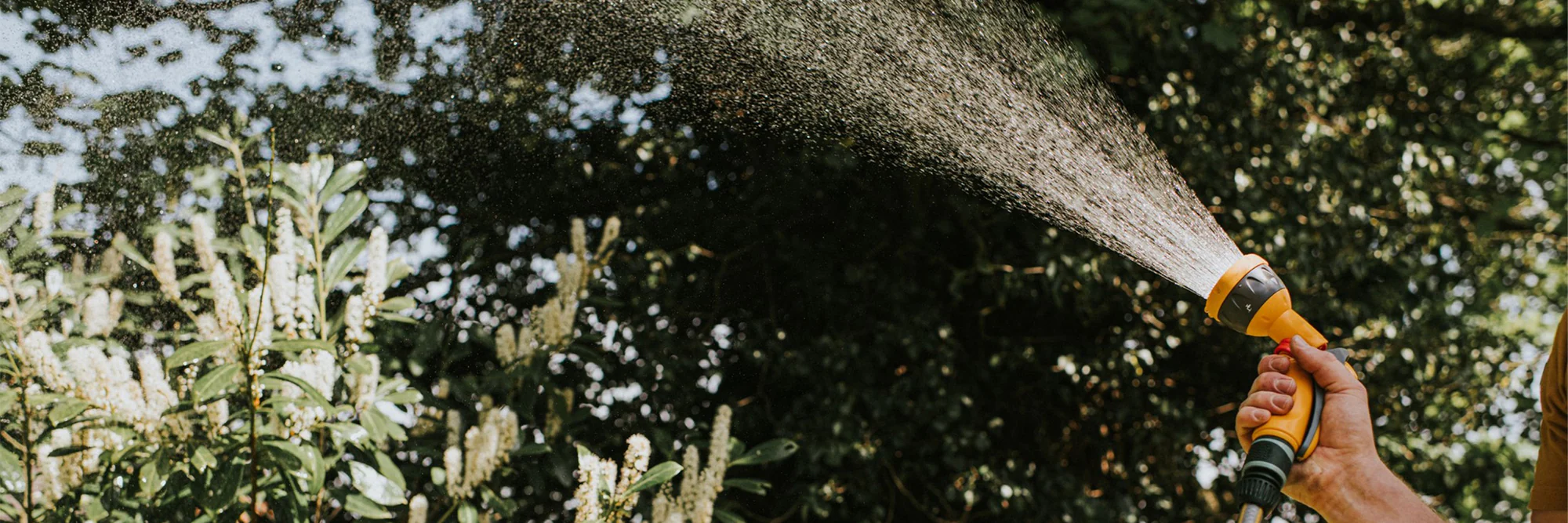 Silverlines Equipment Store -Silverlines Equipment Store