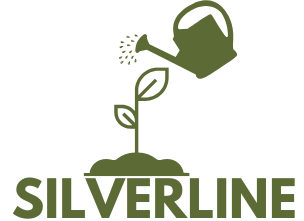 Silverlines Equipment Store